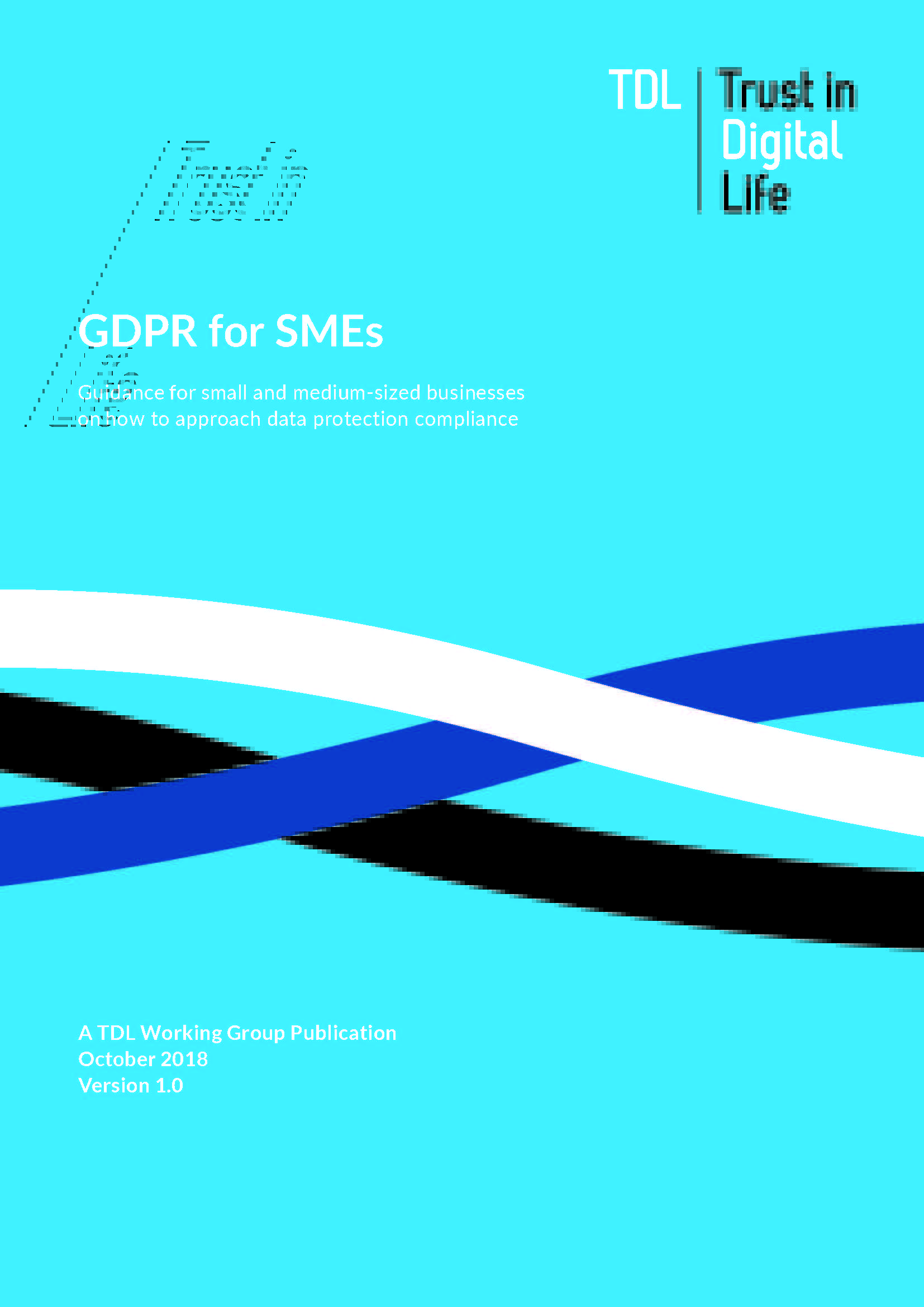 GDPR for SMEs_Page_01